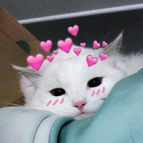 สมาชิกหมายเลข 3775728