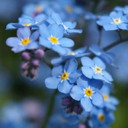 สมาชิกหมายเลข 5009576