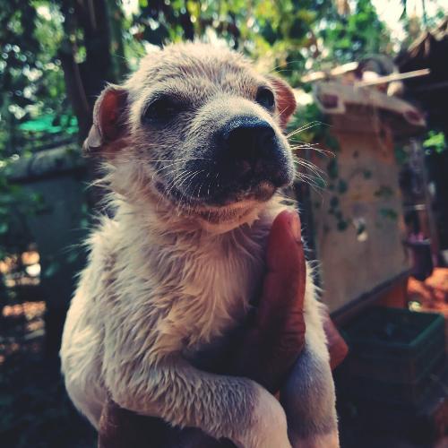 สมาชิกหมายเลข 5403350