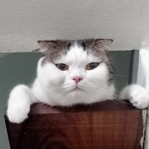 สมาชิกหมายเลข 3825761