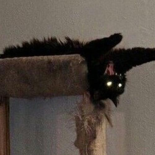 สมาชิกหมายเลข 5661139