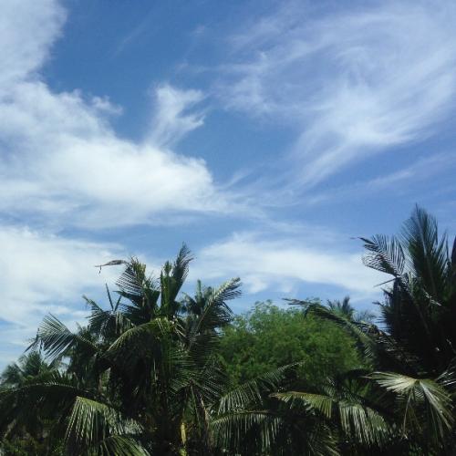 สมาชิกหมายเลข 5904038