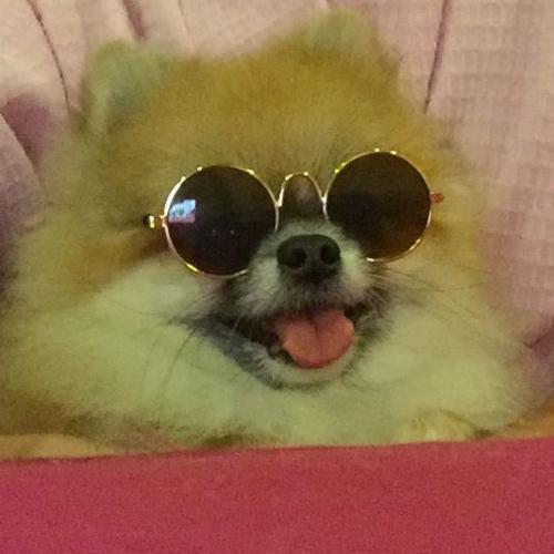 สมาชิกหมายเลข 5909609