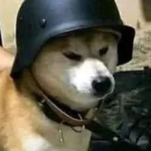 สมาชิกหมายเลข 2320792