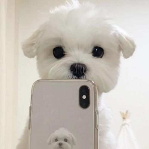 สมาชิกหมายเลข 6512198