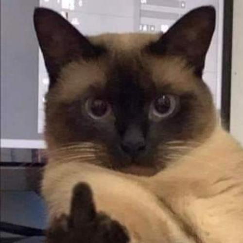 สมาชิกหมายเลข 7188860