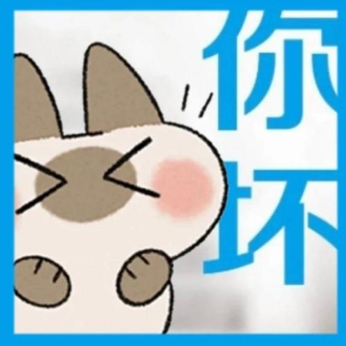 สมาชิกหมายเลข 8025059