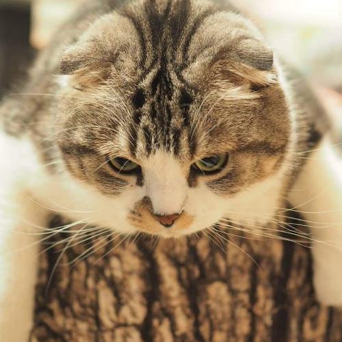 สมาชิกหมายเลข 4677393