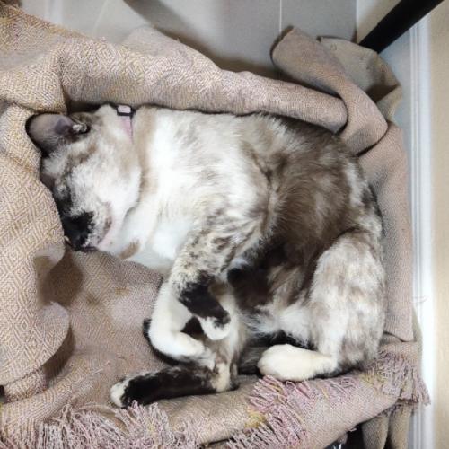 สมาชิกหมายเลข 2989772