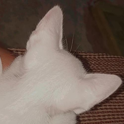 สมาชิกหมายเลข 6512312