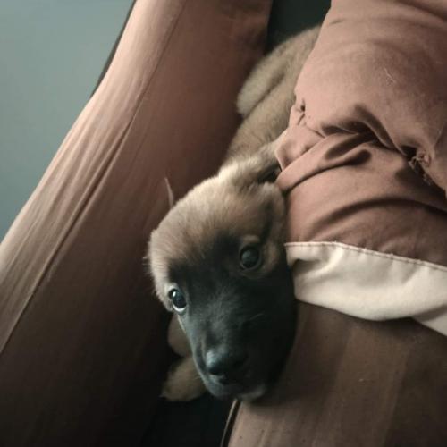 สมาชิกหมายเลข 5533651