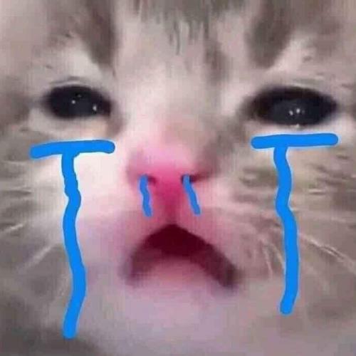 สมาชิกหมายเลข 7224763