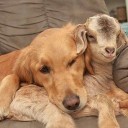 สมาชิกหมายเลข 3715075