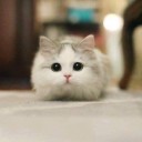 สมาชิกหมายเลข 3800434