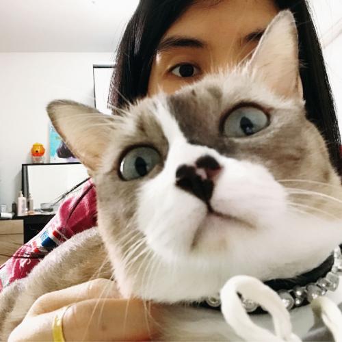 สมาชิกหมายเลข 3578631