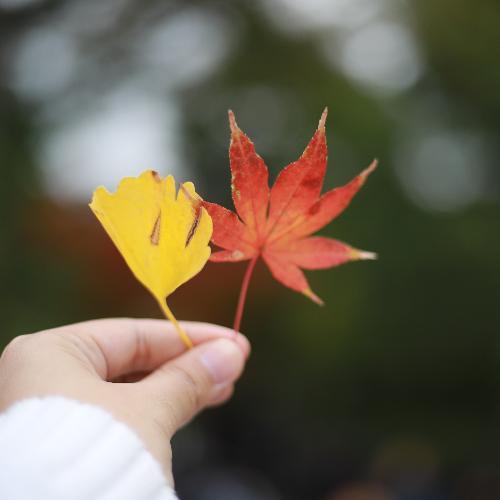 สมาชิกหมายเลข 1302237