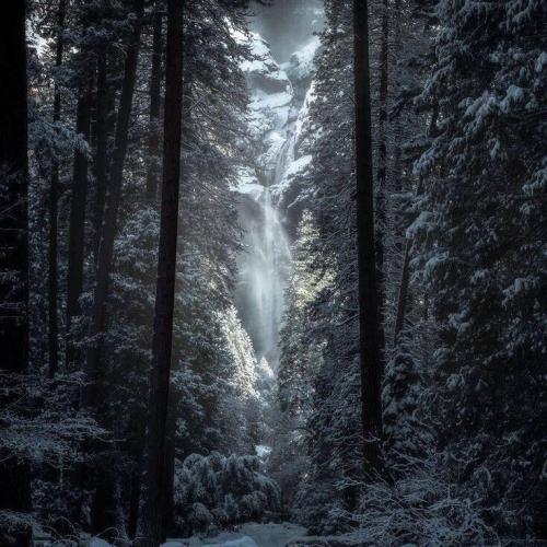 สมาชิกหมายเลข 4900953