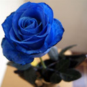 สมาชิกหมายเลข 2707375