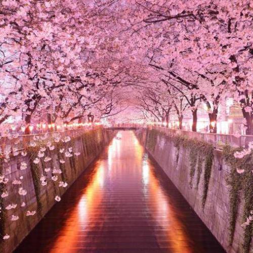 สมาชิกหมายเลข 4065775