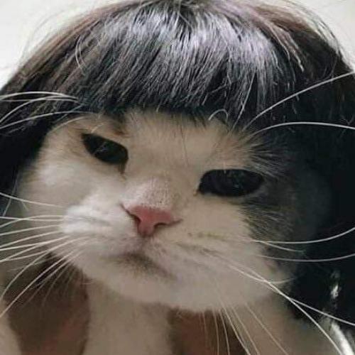 สมาชิกหมายเลข 5404295