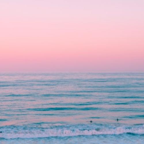 สมาชิกหมายเลข 2380010