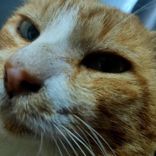 สมาชิกหมายเลข 4133108