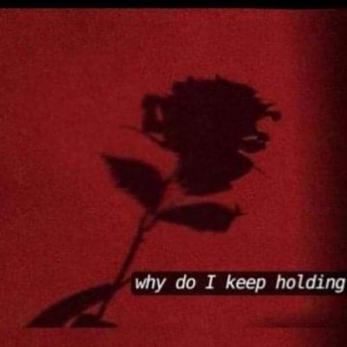 สมาชิกหมายเลข 5911097