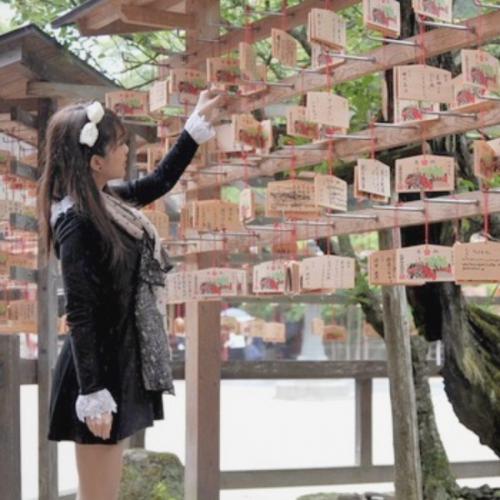 สมาชิกหมายเลข 5911126