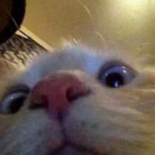 สมาชิกหมายเลข 6513306