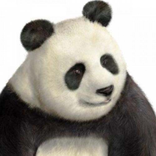 สมาชิกหมายเลข 2838443