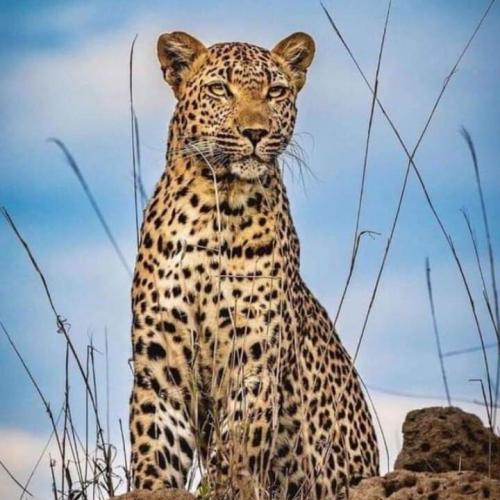 สมาชิกหมายเลข 7224788