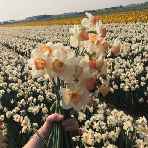 สมาชิกหมายเลข 8030442