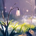 สมาชิกหมายเลข 3800601