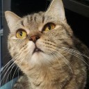 สมาชิกหมายเลข 3813183