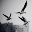 สมาชิกหมายเลข 3214483