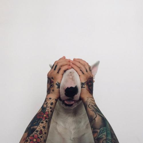 สมาชิกหมายเลข 4648115