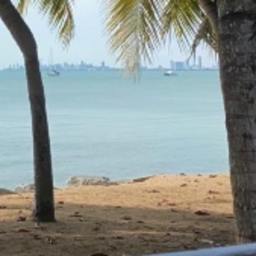 สมาชิกหมายเลข 3335371