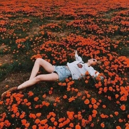 สมาชิกหมายเลข 5890096