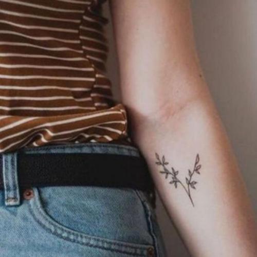 สมาชิกหมายเลข 5911416