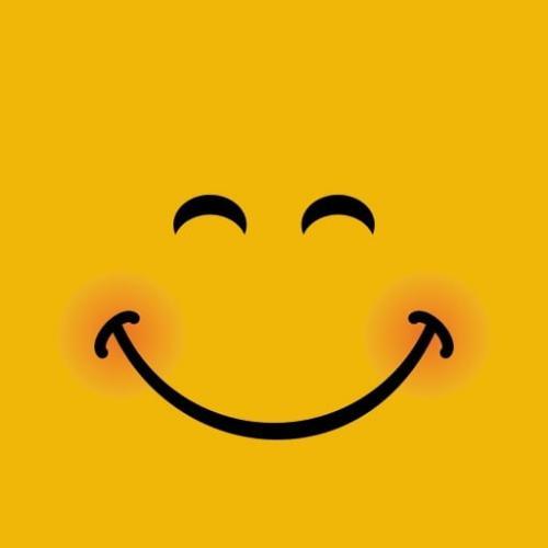 สมาชิกหมายเลข 6513526