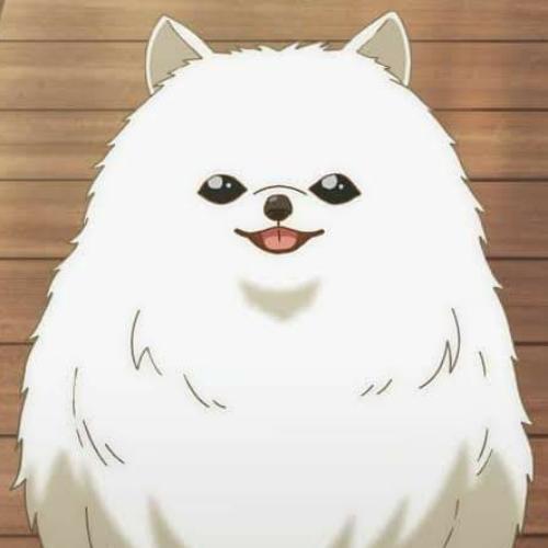 สมาชิกหมายเลข 6513542