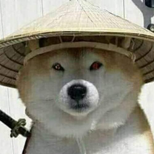 สมาชิกหมายเลข 6513685