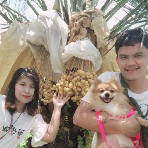 สมาชิกหมายเลข 2115476