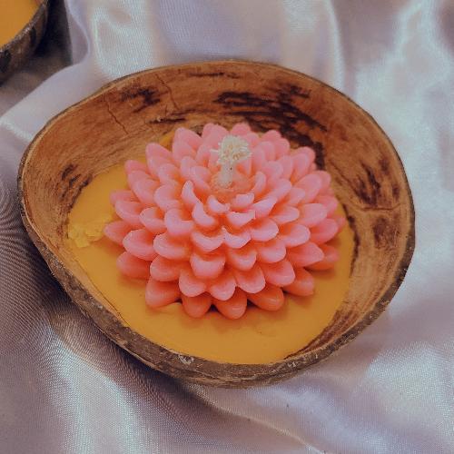 สมาชิกหมายเลข 4052417