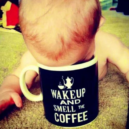 สมาชิกหมายเลข 6617773