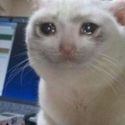 สมาชิกหมายเลข 7747576