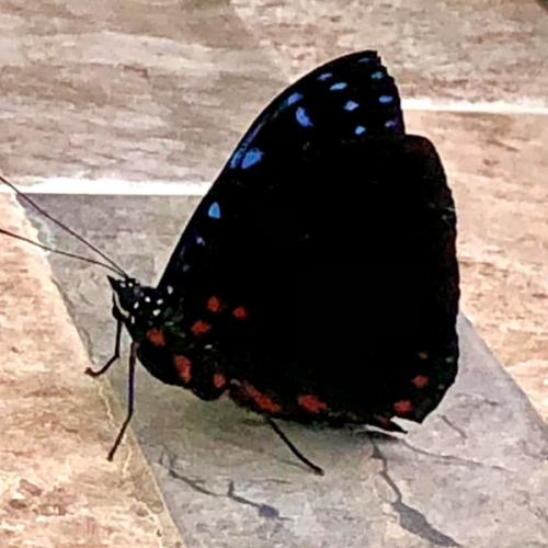 สมาชิกหมายเลข 703336