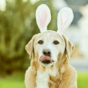 สมาชิกหมายเลข 3657005