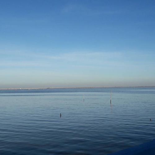 สมาชิกหมายเลข 4265421