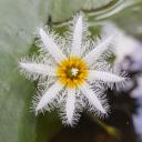 สมาชิกหมายเลข 4265592